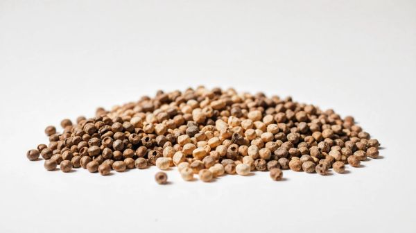 Top réductions sur les pellets à ne pas manquer en ce moment